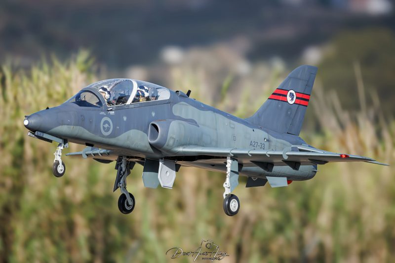 Aguacate model airshow, 2024