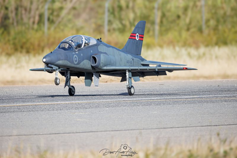 Aguacate model airshow, 2024