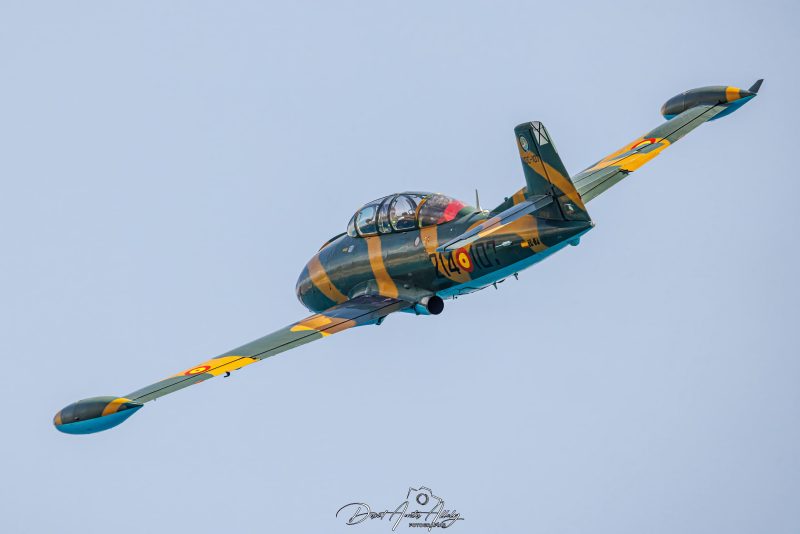 IX Festival Aéreo de Torre del Mar