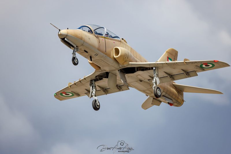 Aguacate model airshow, 2024