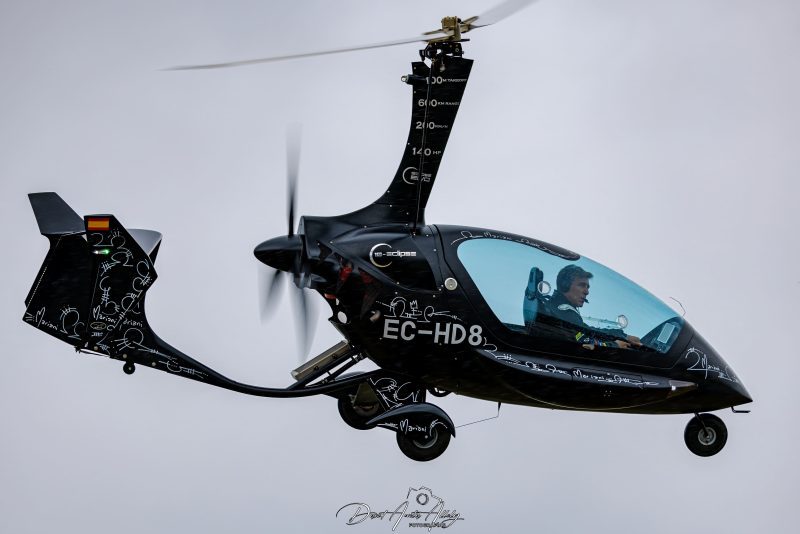 Aguacate model airshow, 2024