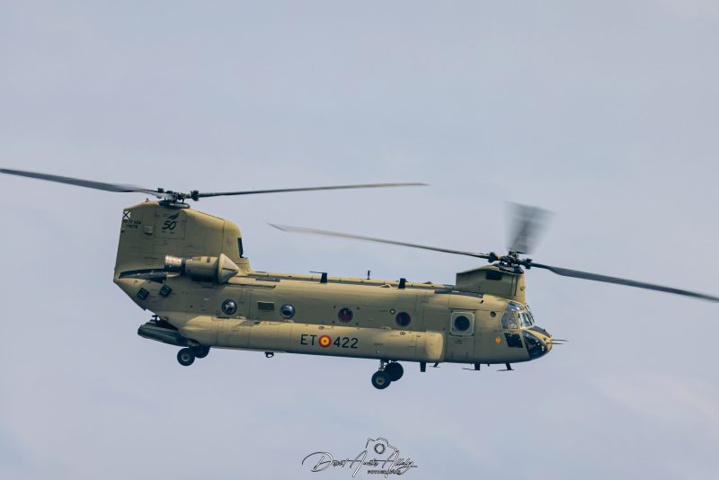 Dia de las Fuerzas Armadas Españolas 2023