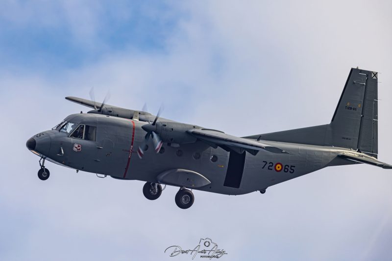 Dia de las Fuerzas Armadas Españolas 2023