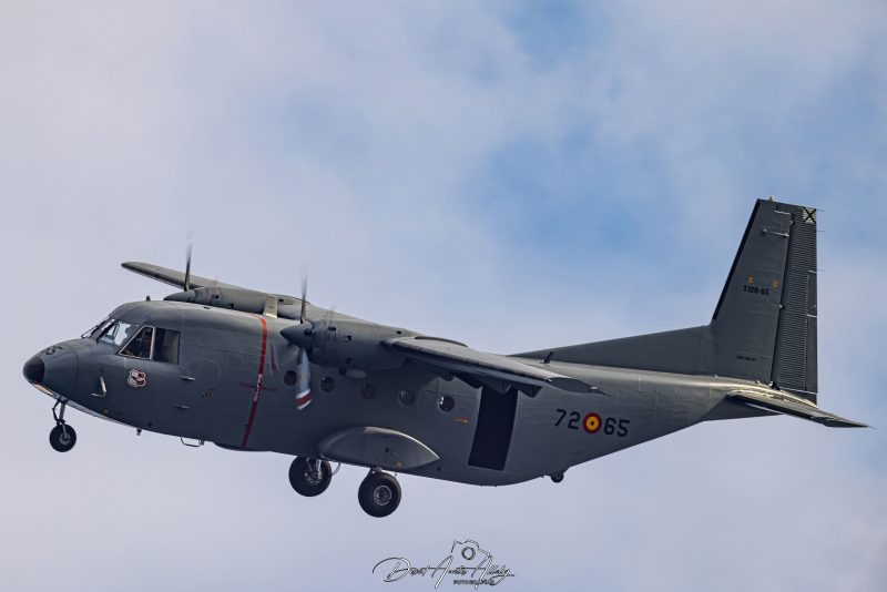 Dia de las Fuerzas Armadas Españolas 2023