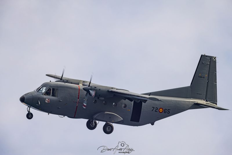 Dia de las Fuerzas Armadas Españolas 2023