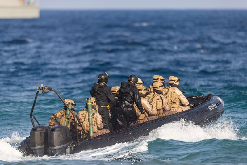 Dia de las Fuerzas Armadas Españolas 2023