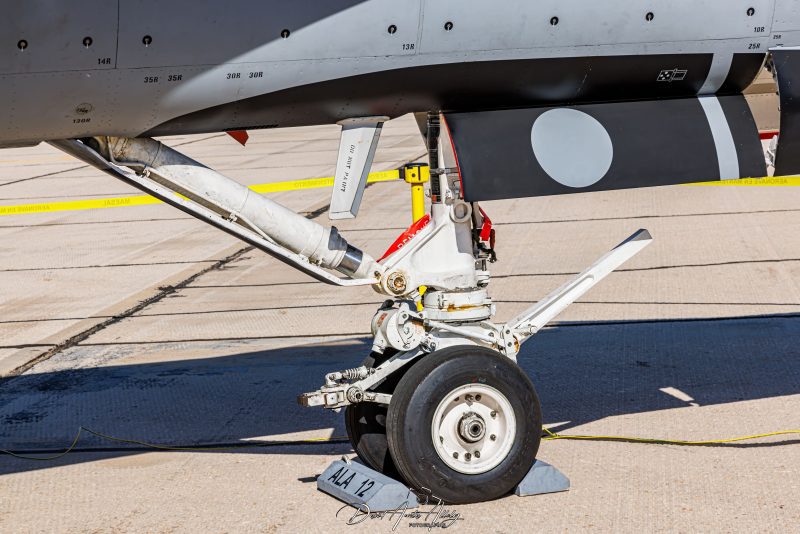 50 aniversario Ala 14