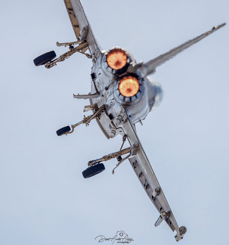 50 aniversario Ala 14