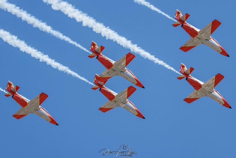 50 aniversario Ala 14