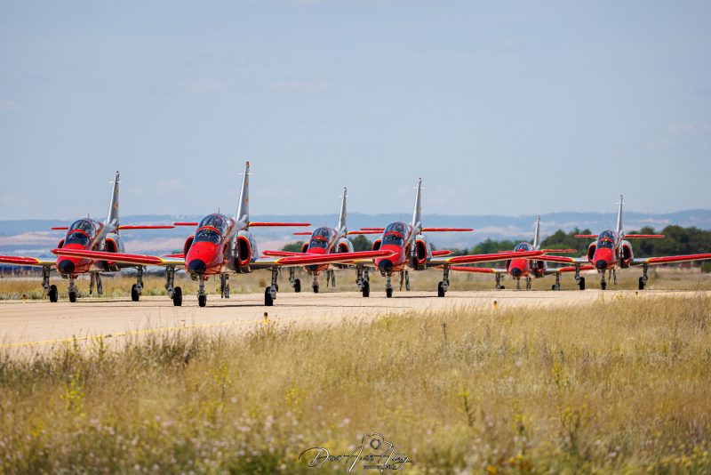 50 aniversario Ala 14