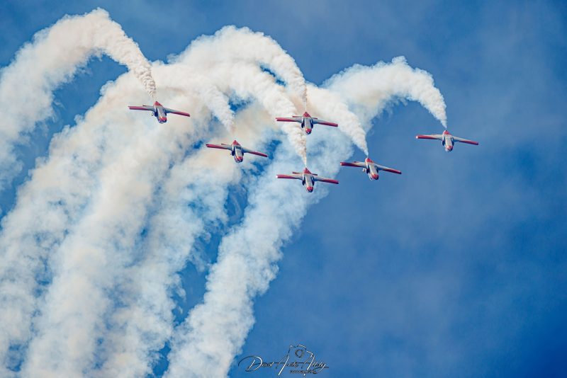 50 aniversario Ala 14