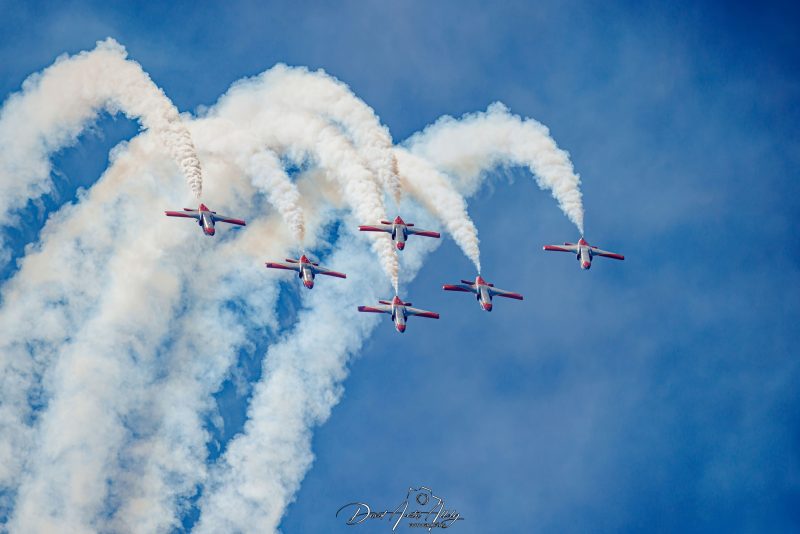 50 aniversario Ala 14