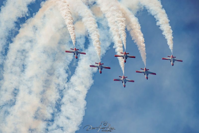 50 aniversario Ala 14