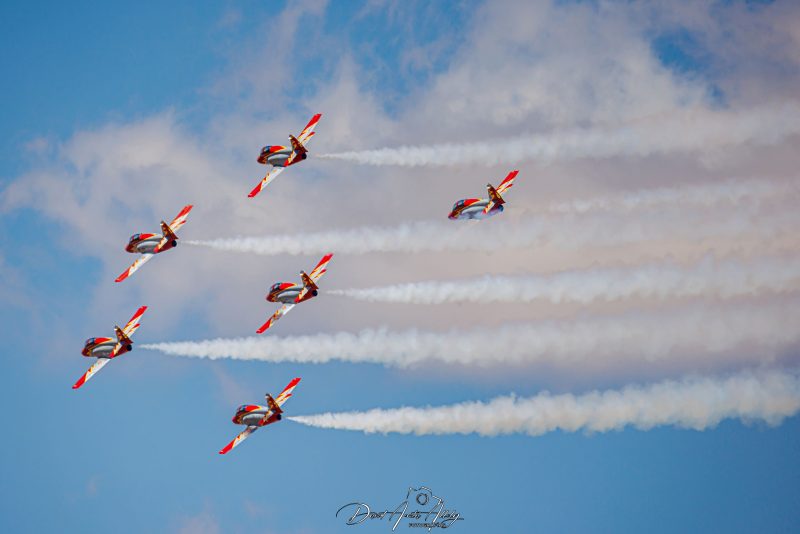 50 aniversario Ala 14