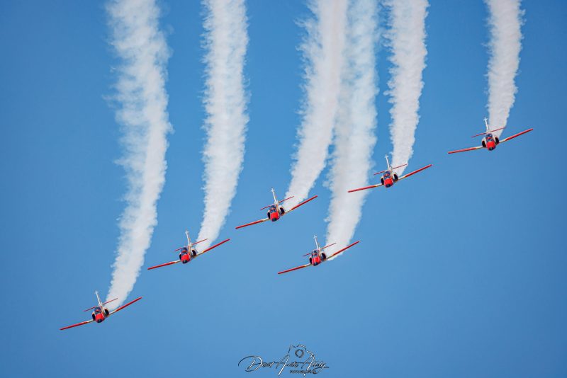 50 aniversario Ala 14