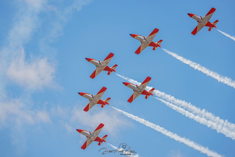 50 aniversario Ala 14