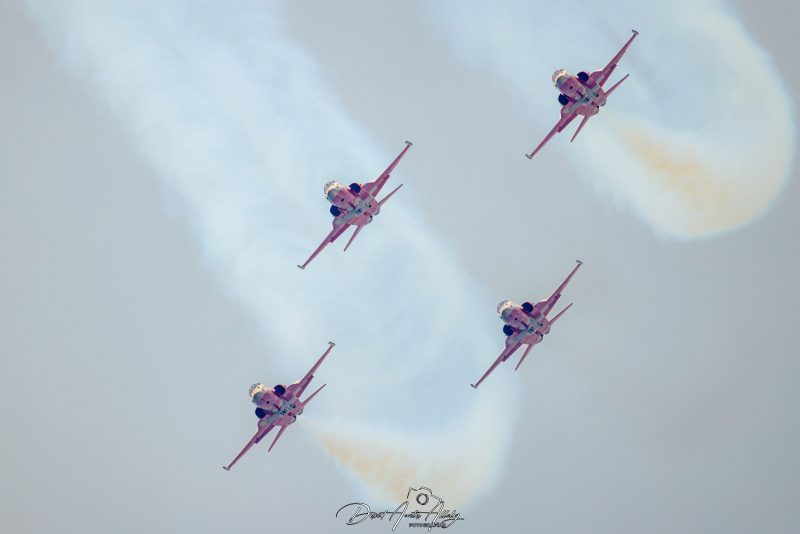 Aire 25 - 40 Aniversario de la Patrulla Águila