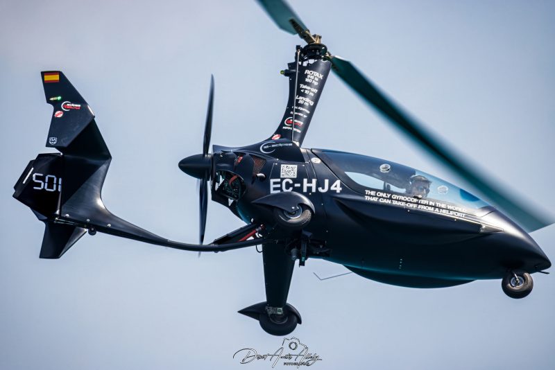 IX Festival Aéreo de Torre del Mar