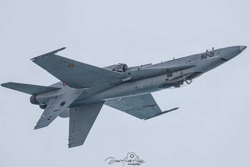 IX Festival Aéreo de Torre del Mar