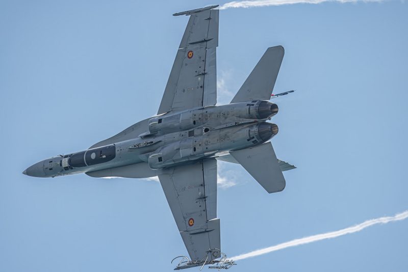 IX Festival Aéreo de Torre del Mar