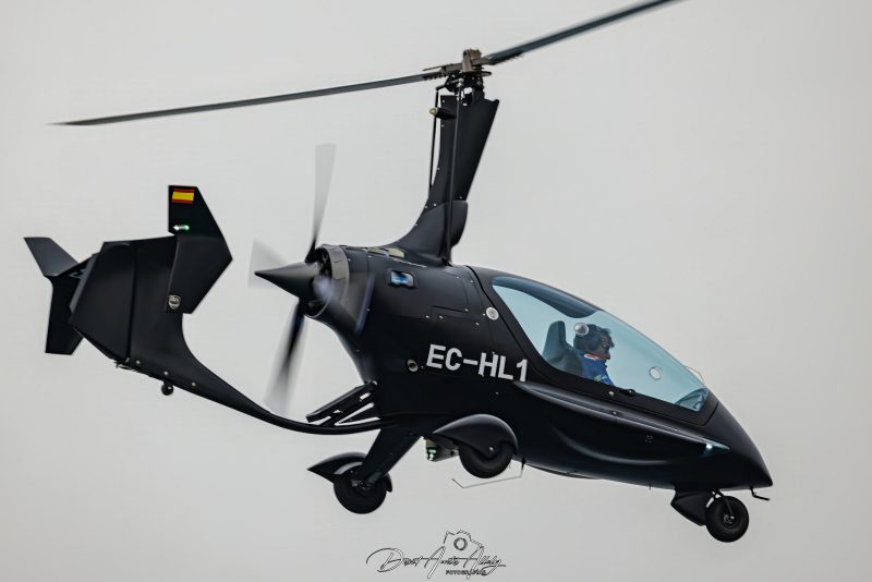 X Festival Aéreo de Torre del Mar 2025