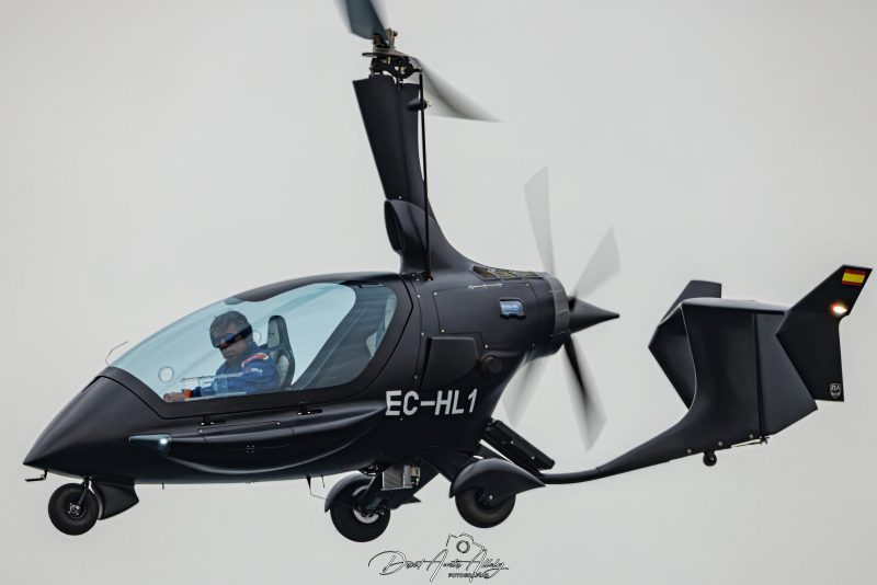 X Festival Aéreo de Torre del Mar 2025