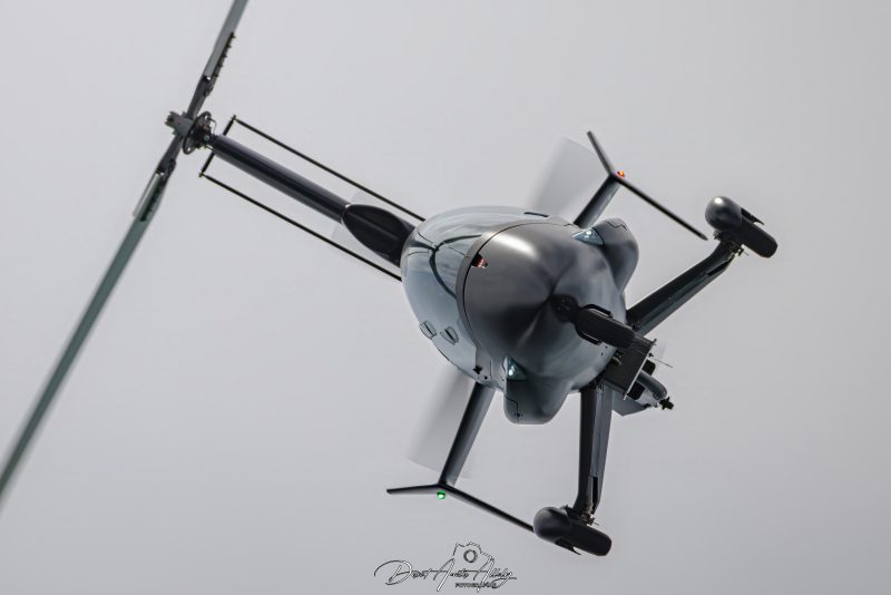 X Festival Aéreo de Torre del Mar 2025