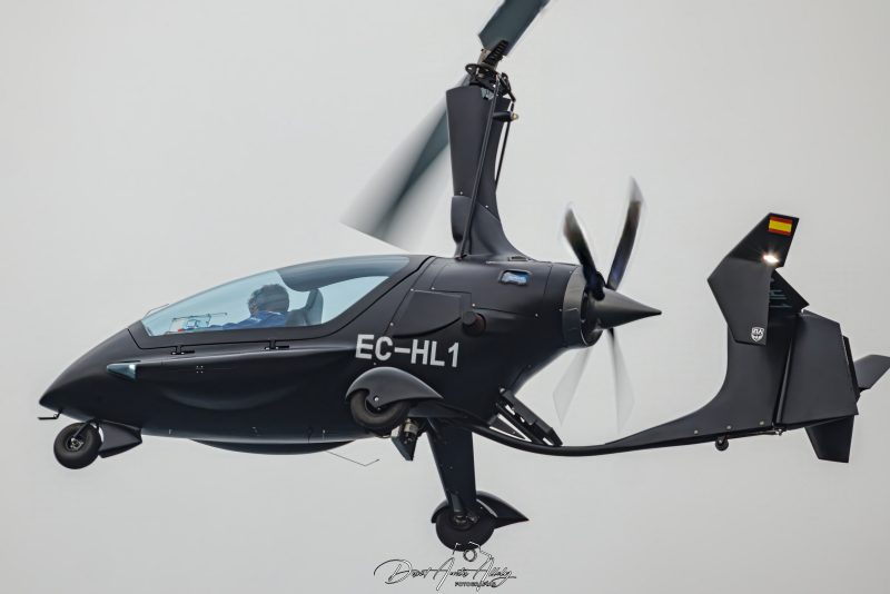 X Festival Aéreo de Torre del Mar 2025