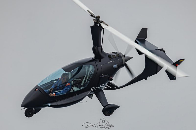 X Festival Aéreo de Torre del Mar 2025