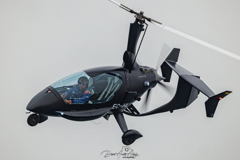 X Festival Aéreo de Torre del Mar 2025