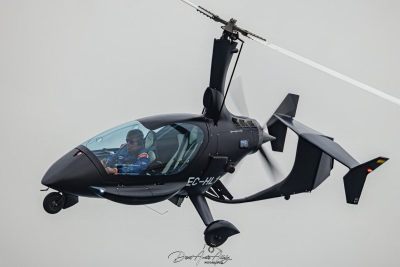 X Festival Aéreo de Torre del Mar 2025