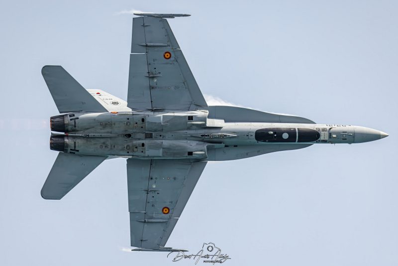 IX Festival Aéreo de Torre del Mar