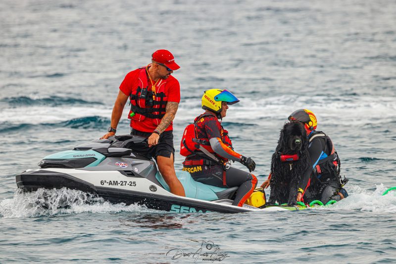 X Festival Aéreo de Torre del Mar 2025