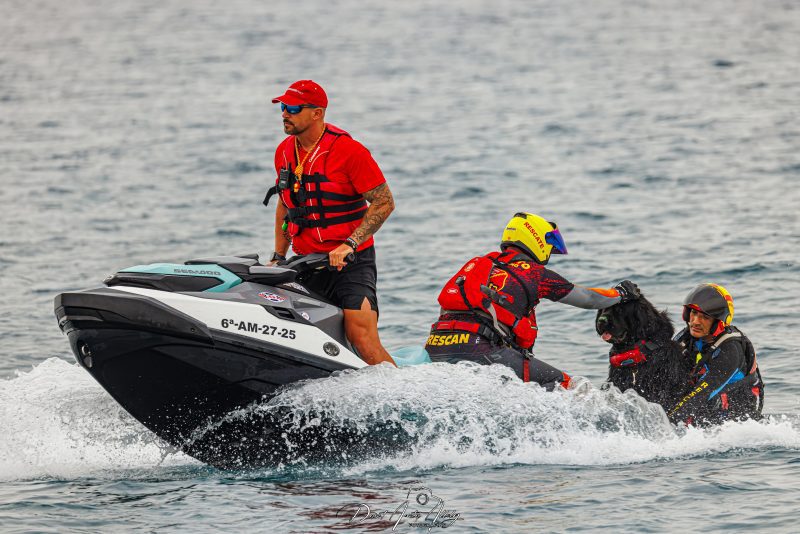 X Festival Aéreo de Torre del Mar 2025