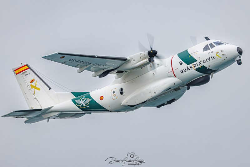 X Festival Aéreo de Torre del Mar 2025