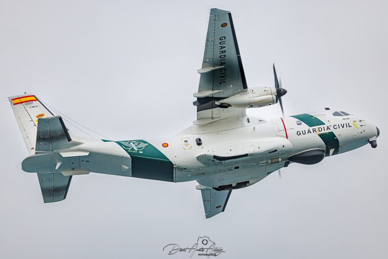 X Festival Aéreo de Torre del Mar 2025