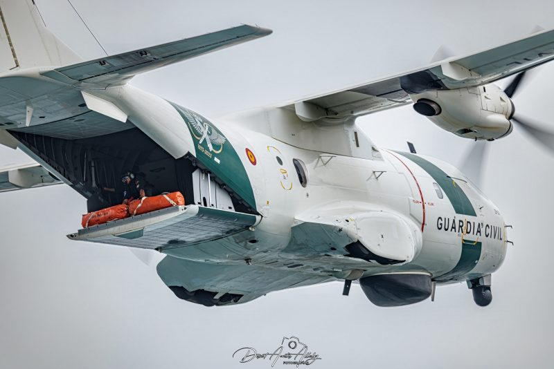 X Festival Aéreo de Torre del Mar 2025