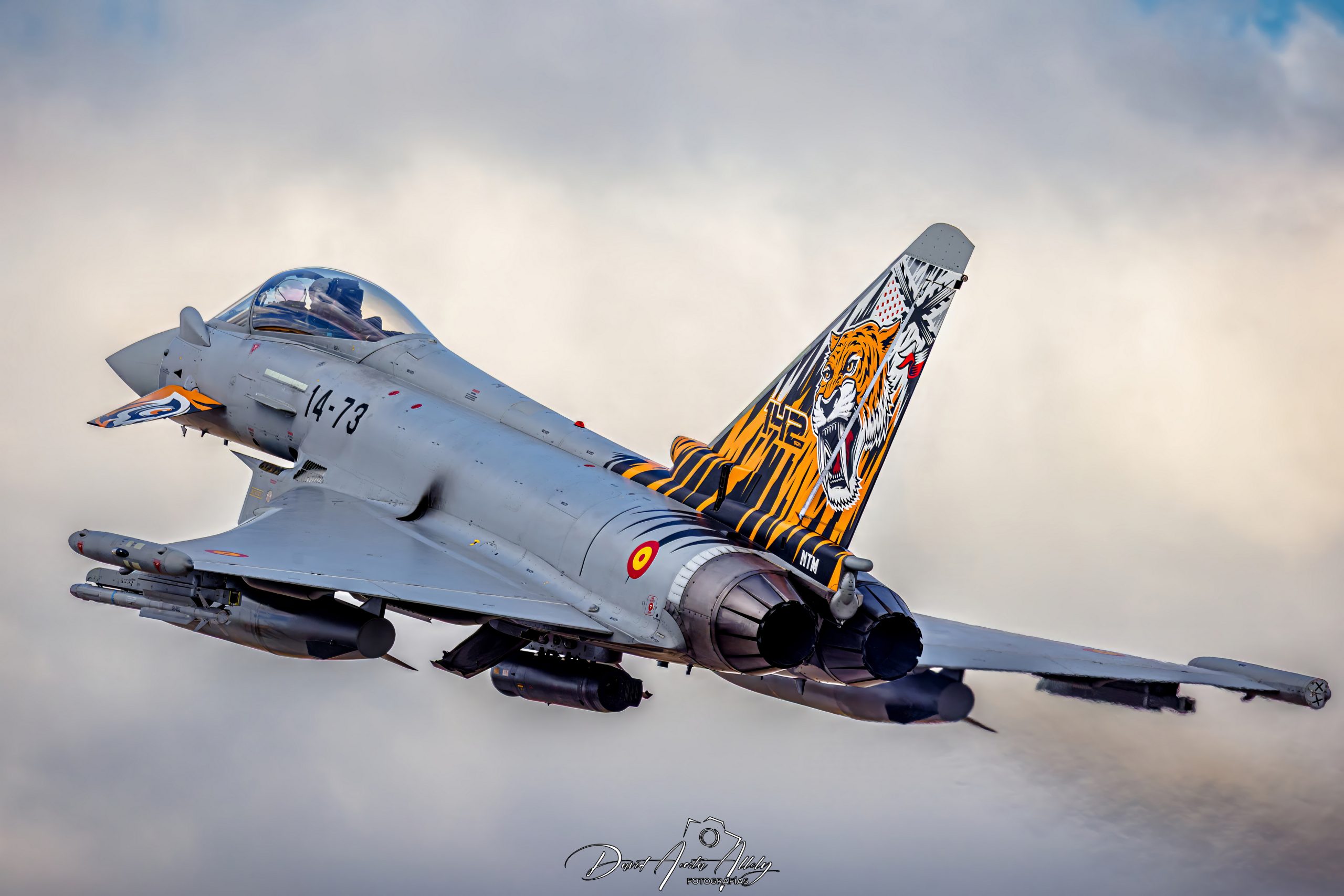 Nato Tiger Meet 2025