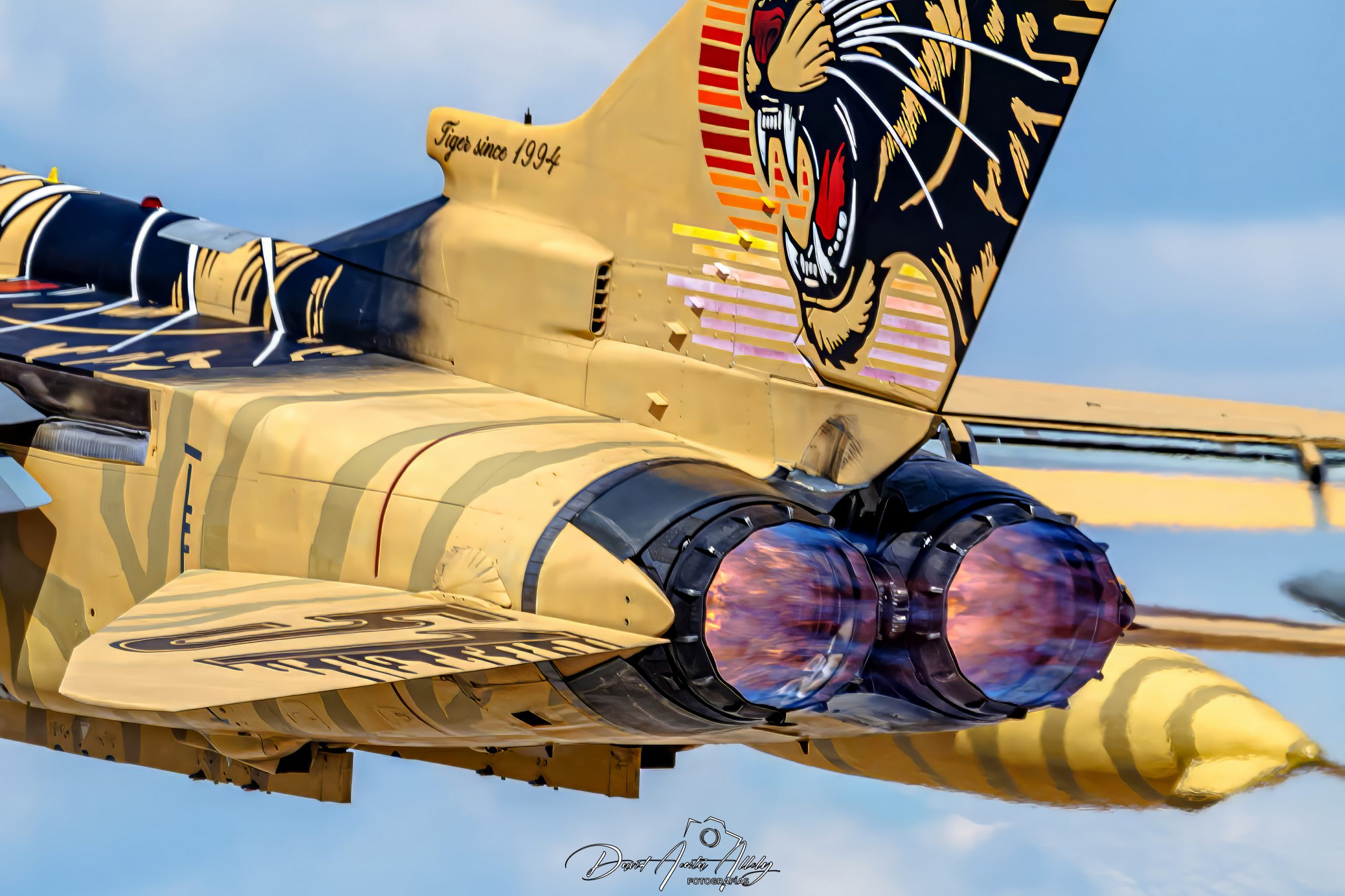 Nato Tiger Meet 2025