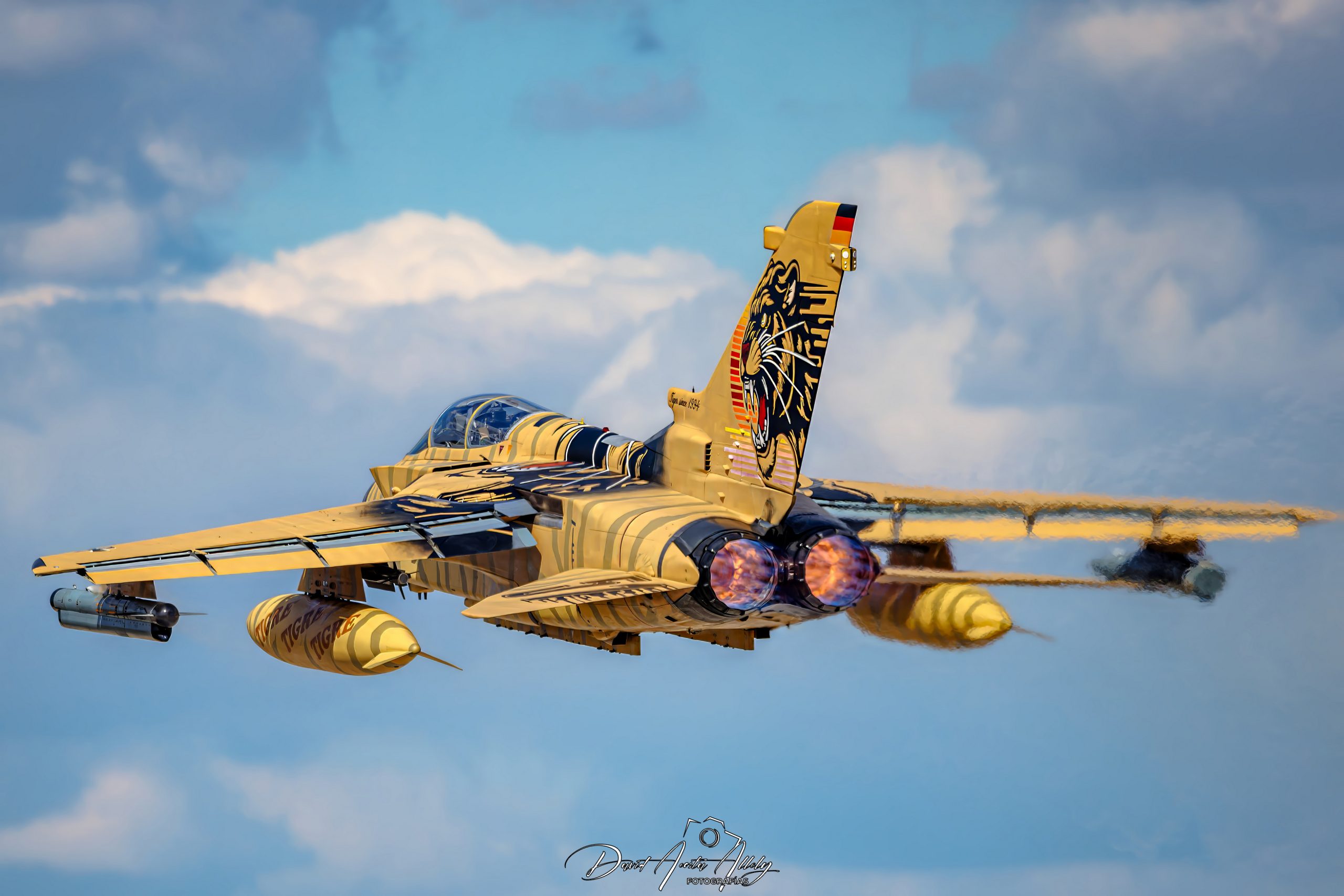 Nato Tiger Meet 2025