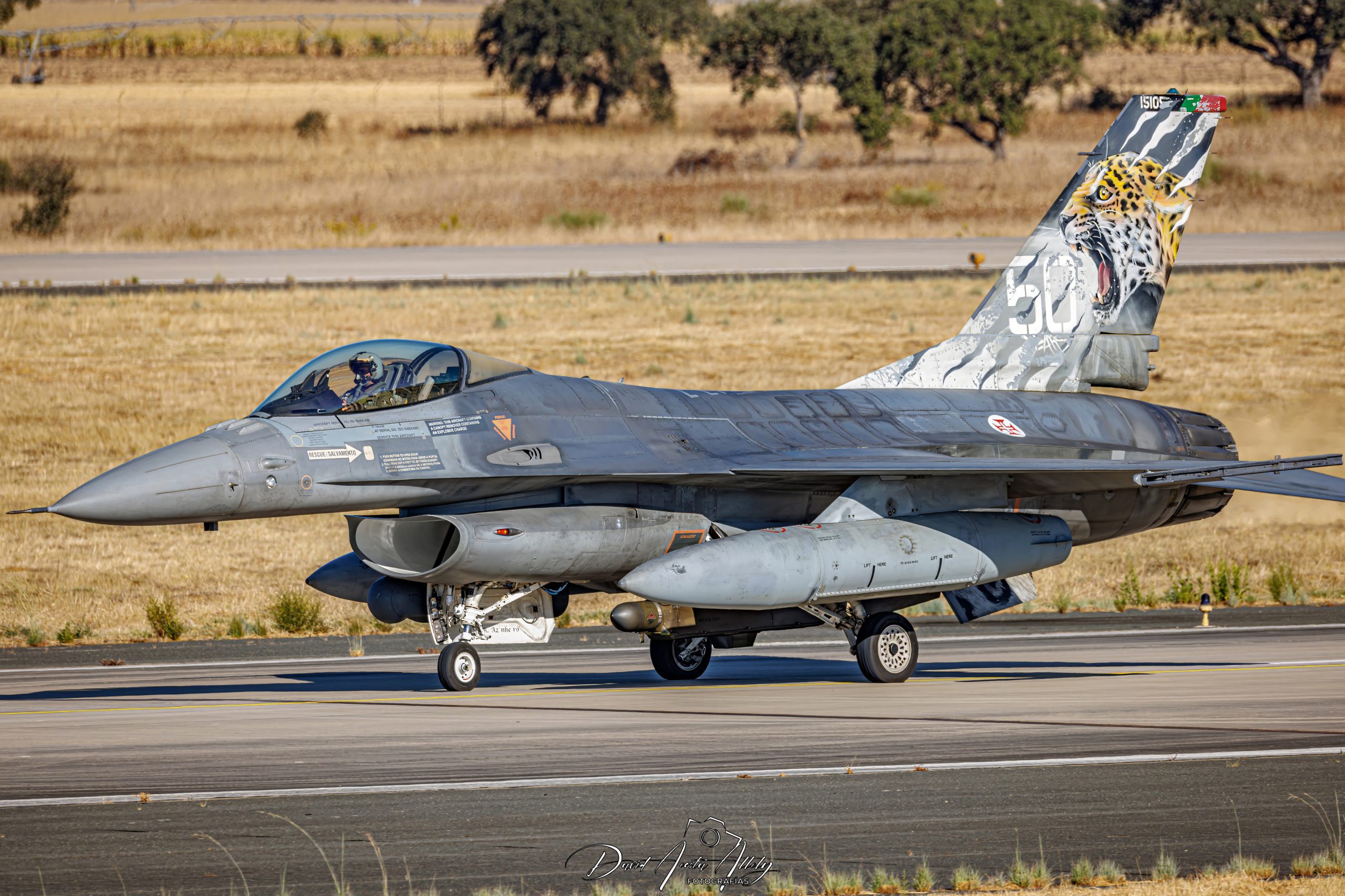 Nato Tiger Meet 2025