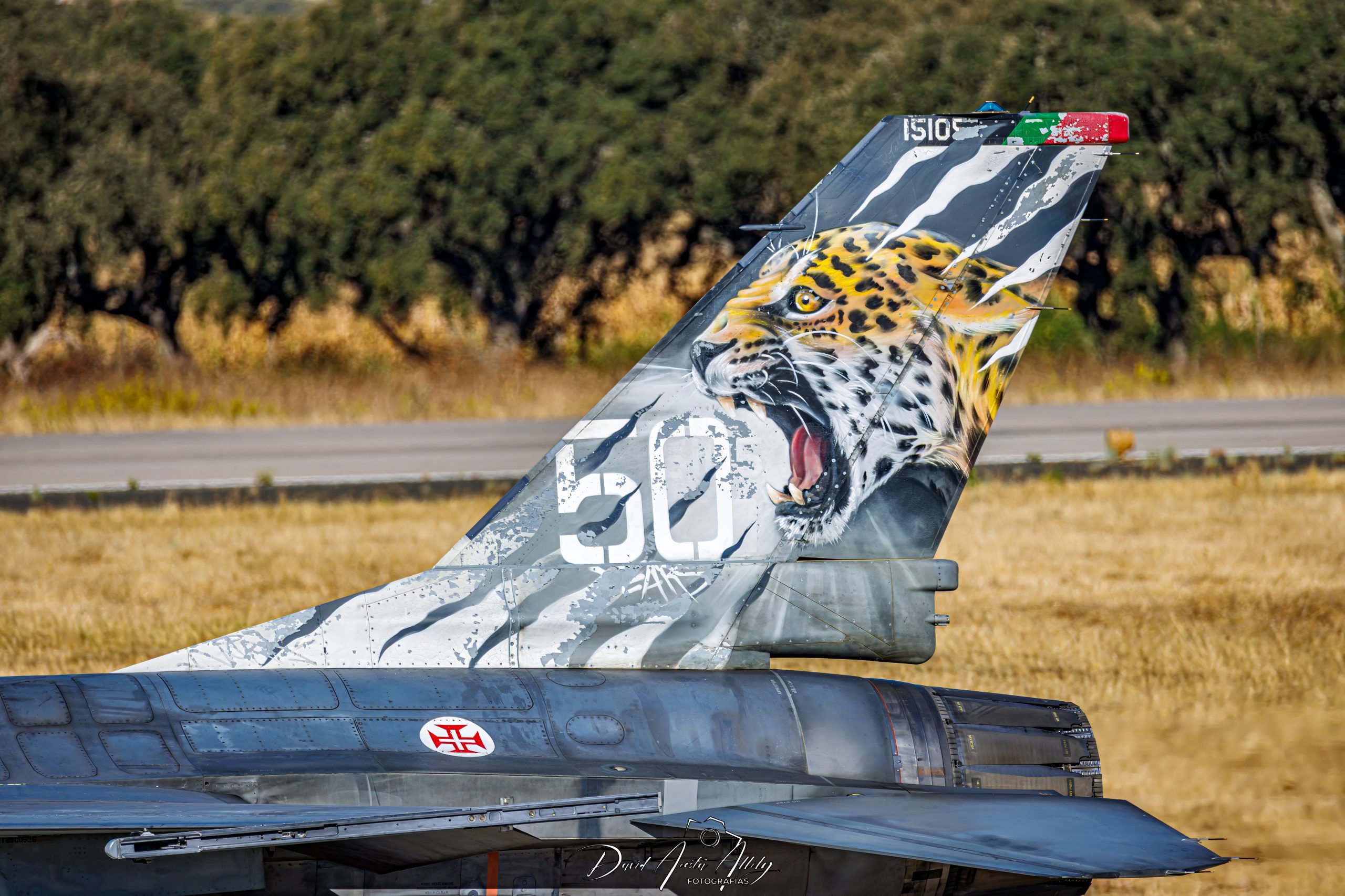 Nato Tiger Meet 2025