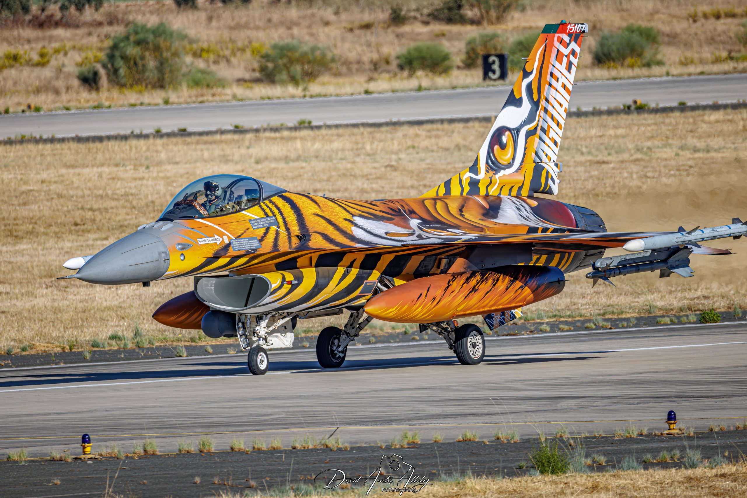 Nato Tiger Meet 2025