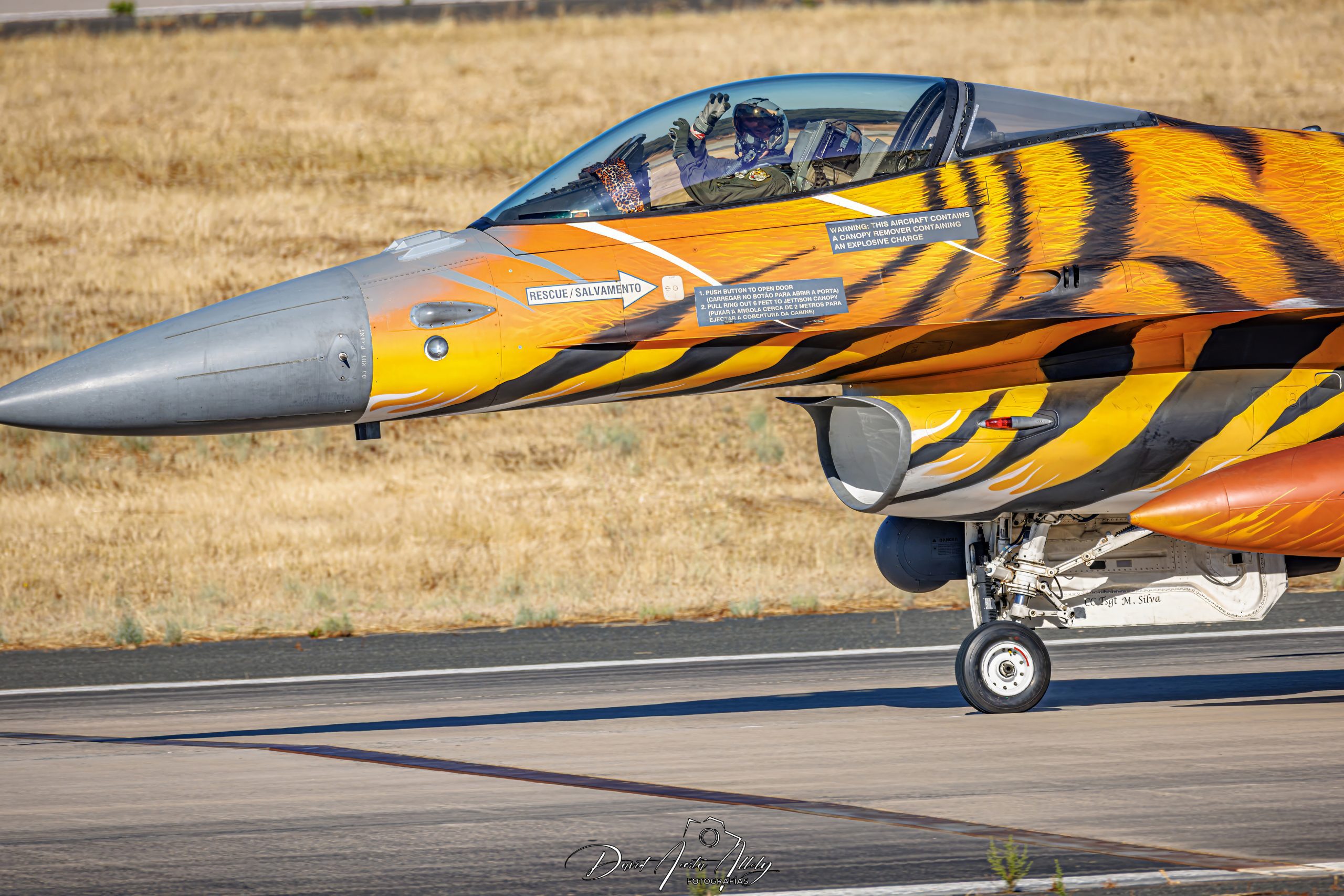 Nato Tiger Meet 2025