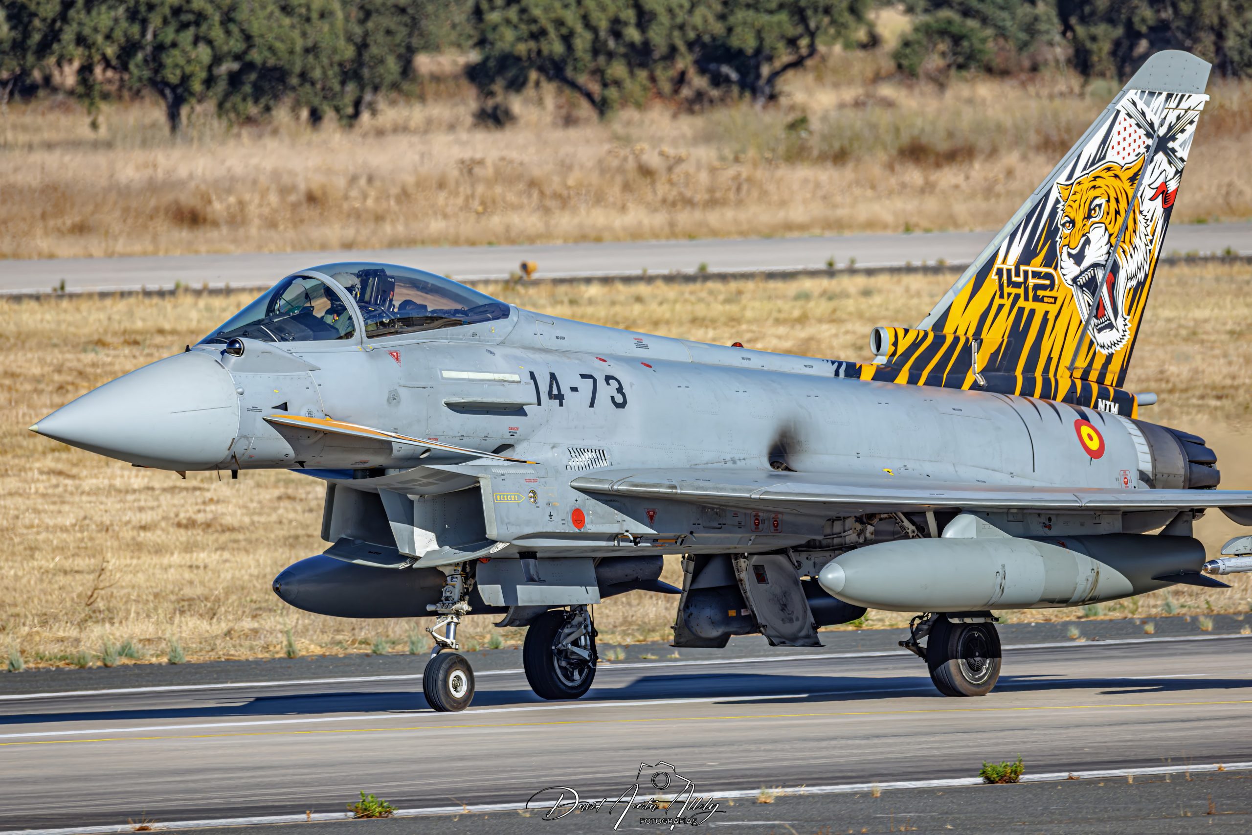 Nato Tiger Meet 2025