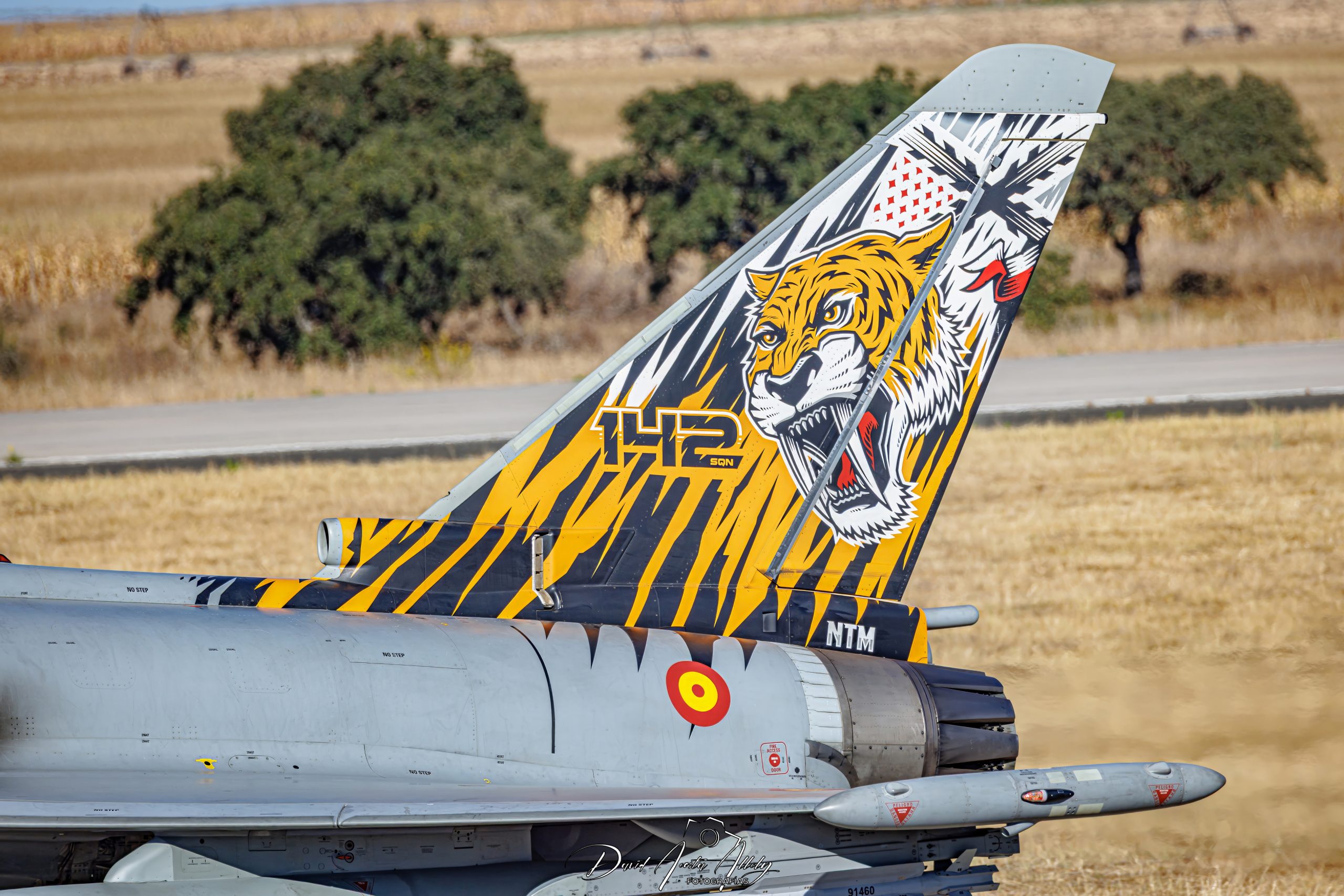 Nato Tiger Meet 2025