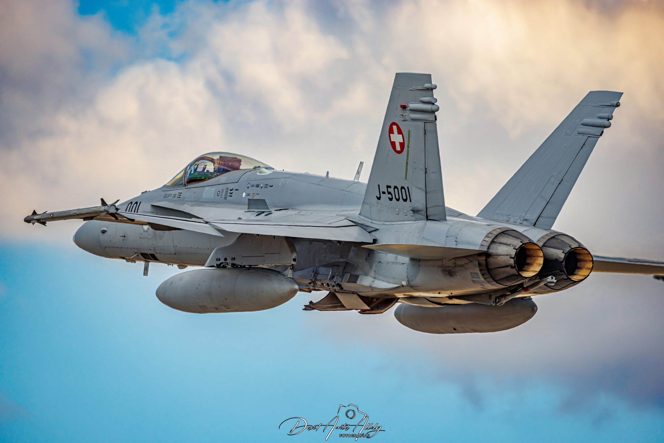 Nato Tiger Meet 2025