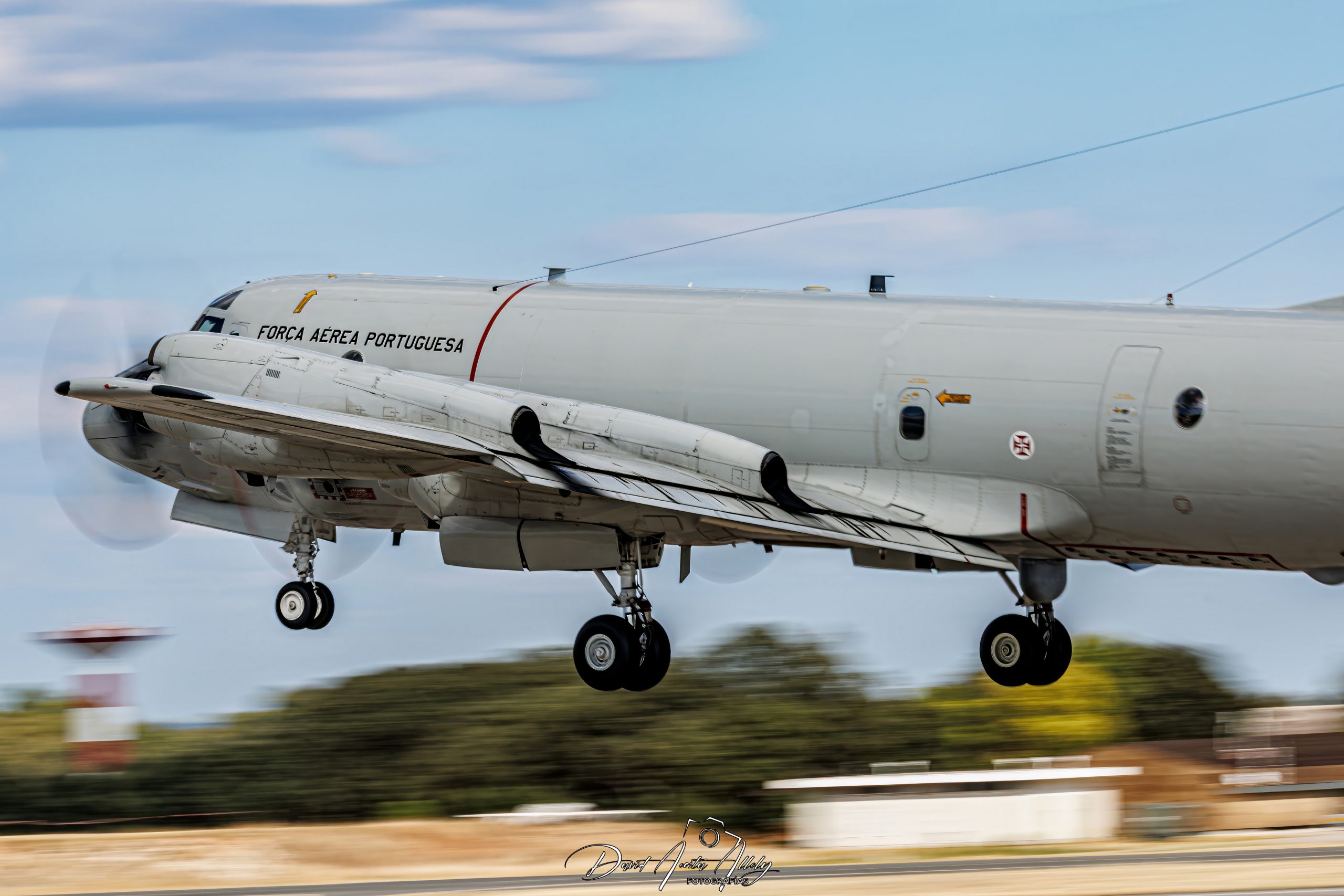 Nato Tiger Meet 2025