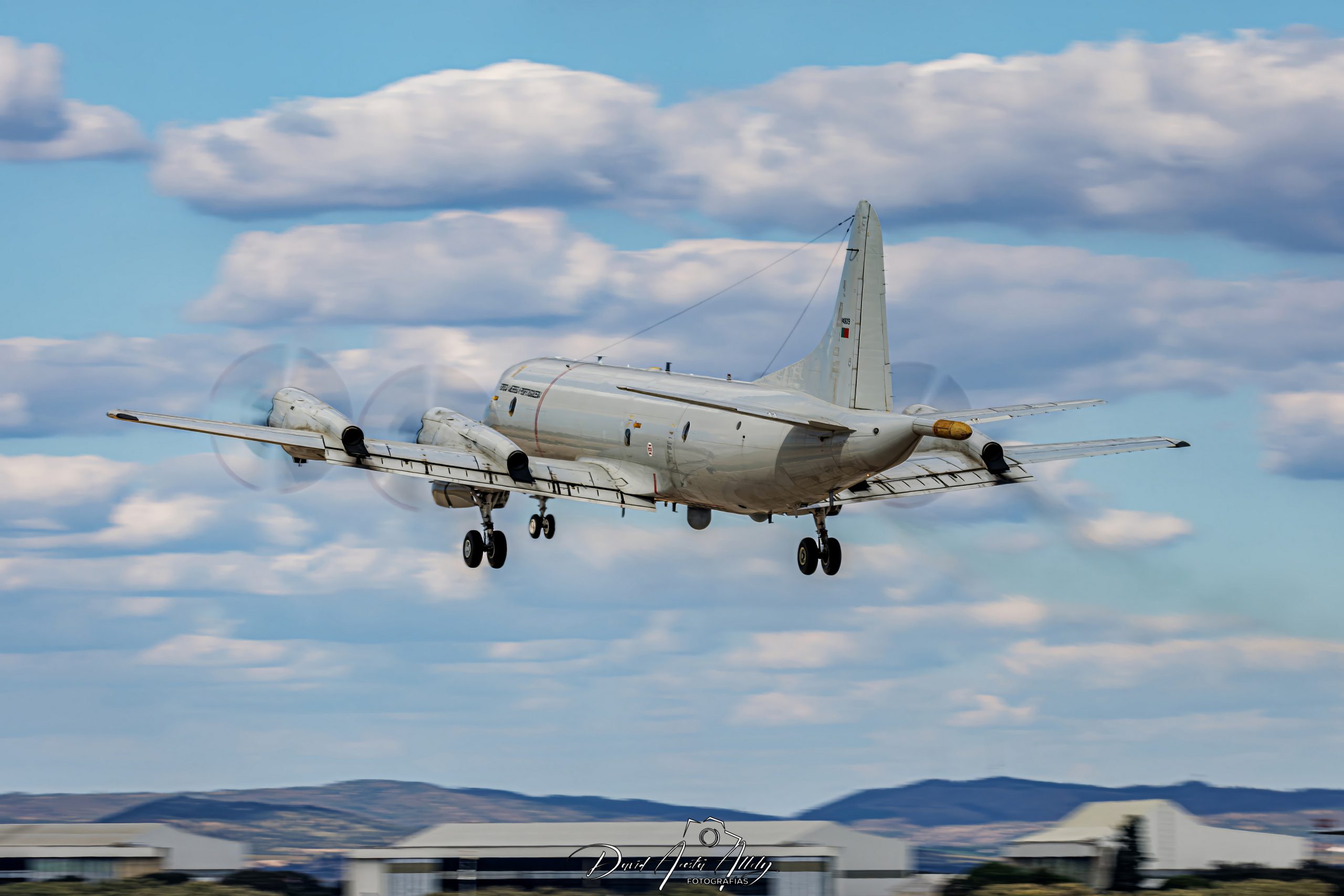 Nato Tiger Meet 2025