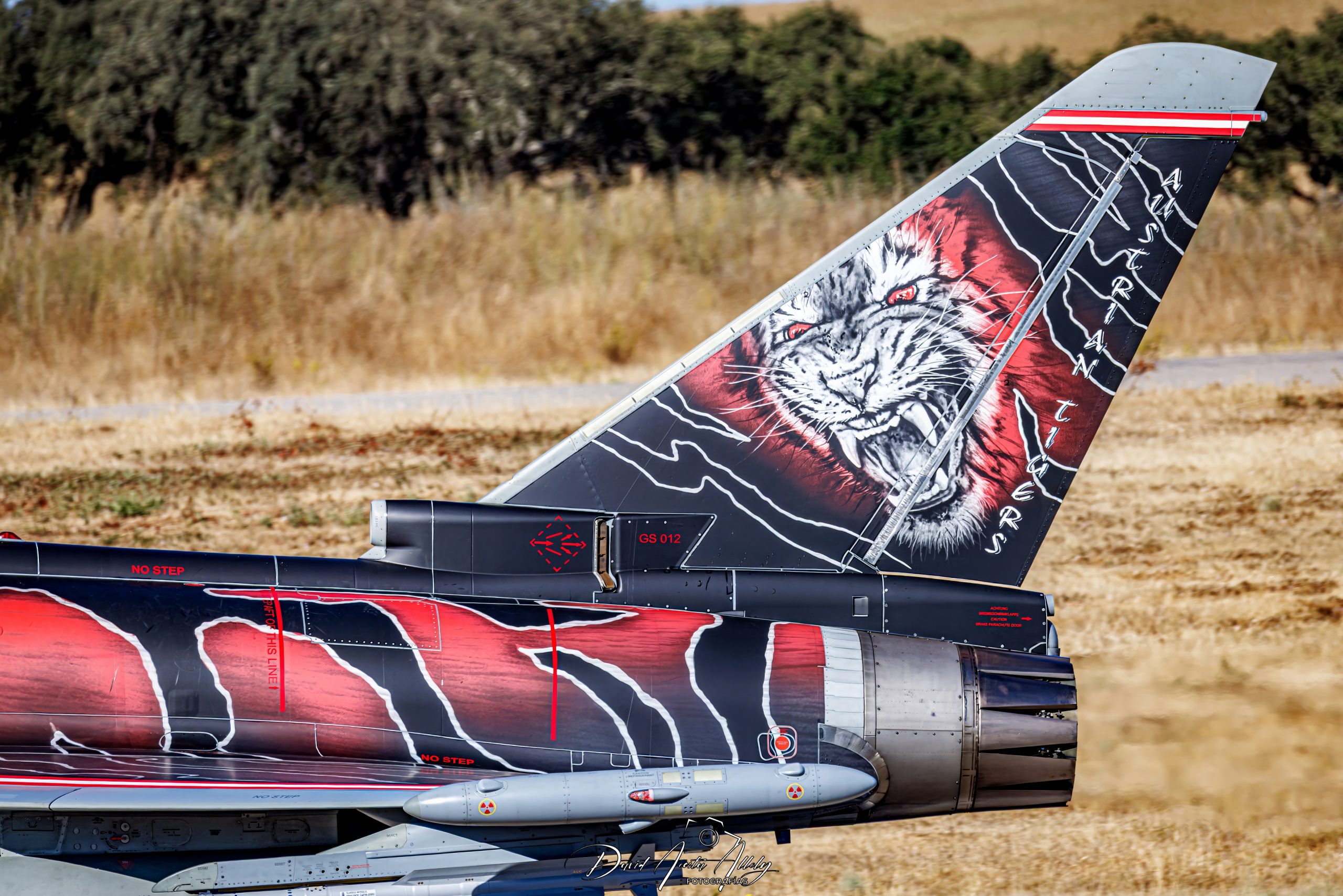 Nato Tiger Meet 2025